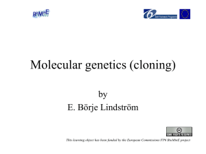 Molecular genetics (cloning)