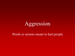 Role Playing & Aggression