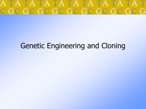 Genetic engineering