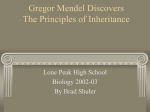 Gregor Mendel Discovers The Principles of Inheritance