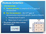 CB-Human Genetics