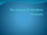 Out-of-Africa Theory: The Origin Of Modern Humans