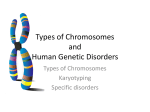 Types of Chromosomes and Human Genetic Disorders
