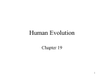Human Evolution - NAU jan.ucc.nau.edu web server