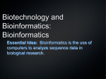 Biotechnology and Bioinformatics