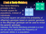 Hardy Weinberg