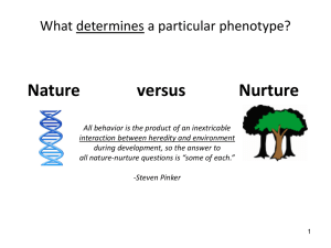 Development of behavior