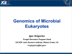 JGI_Grigoriev - YSU Proteomics/Genomics Research Group