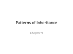 Patterns of Inheritance