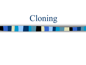Problems with cloning