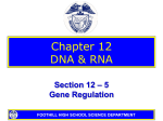 12-5 Gene Regulation