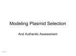 Modeling Plasmid Selection - Biology2020