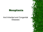 Neoplasia & Hereditary Diseases Lecture Notes Page