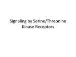 Signaling by Serine/Threonine Kinase Receptors