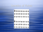 Genetics of Fishes
