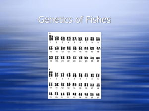 Genetics of Fishes