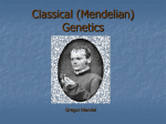 Classical (Mendelian) Genetics