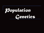 Population Genetics - Solon City Schools