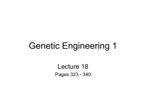 Lecture 19 POWERPOINT here