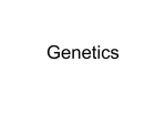 Genetics - Fort Bend ISD