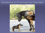 Autosomal & Chromosomal Disorders