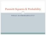 Punnett Squares & Probability
