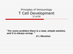 T Cell Development 03/14/06