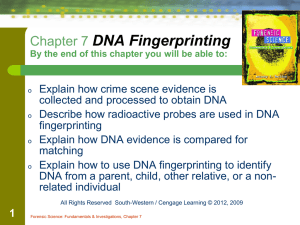 Notes: DNA Fingerprinting, C.7
