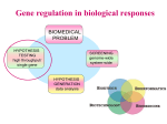 Gene regulation in biological responses