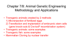 Chapter 7/8-Animal Biotechnology