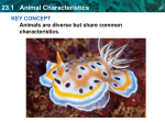 23.1 Animal Characteristics