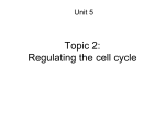 Topic 2: Regulating the cell cycle