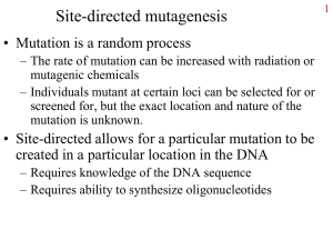 Examples of mutations and their phenotypes