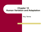 Chapter 12 Human Variation and Adaptation