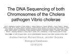Bio_db_presentation_on_Vibrio_cholera_rb