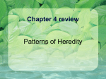 Cells Chapter 4 Review Powerpoint