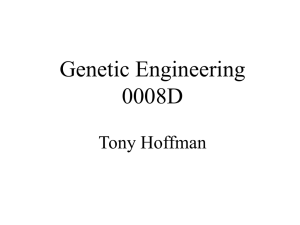 Genetic Engineering Topic #0008D By: Tony Hoffman