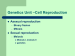 Genetics Unit – Chpt. 8 Cell Reproduction