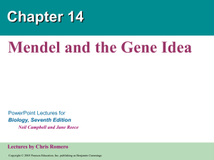 Chapter 14 Mendel
