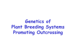 Plant breeding systems