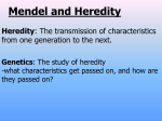 Mendelian genetics