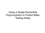 Using a Single-Nucleotide Polymorphism to Predict Bitter Tasting