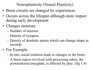 Intrinsic and Extrinsic Factors