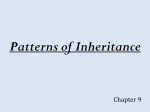 Patterns of Inheritance - (www.ramsey.k12.nj.us).