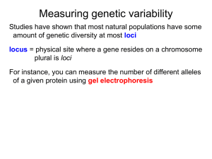 lecture 03 - Hardy-Weinberg - Cal State LA