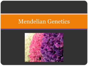 Mendelian Genetics