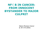 NF-κB IN CANCER: FROM INNOCENT BYSTANDER TO MAJOR