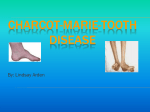 Charcot-Marie-Tooth Disease - SSSD-Bio