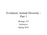 Evolution: Animal Diversity - Part 1 - Cal State LA