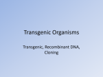 Transgenic Organisms - OG